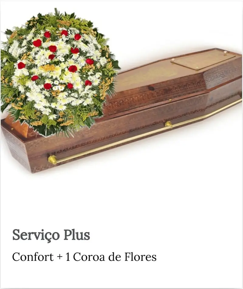 Urna - Serviço Plus